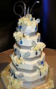 White buttercream iced wedding cake, with silver fondant ribbons and pearlescent silver peacock feathers. 